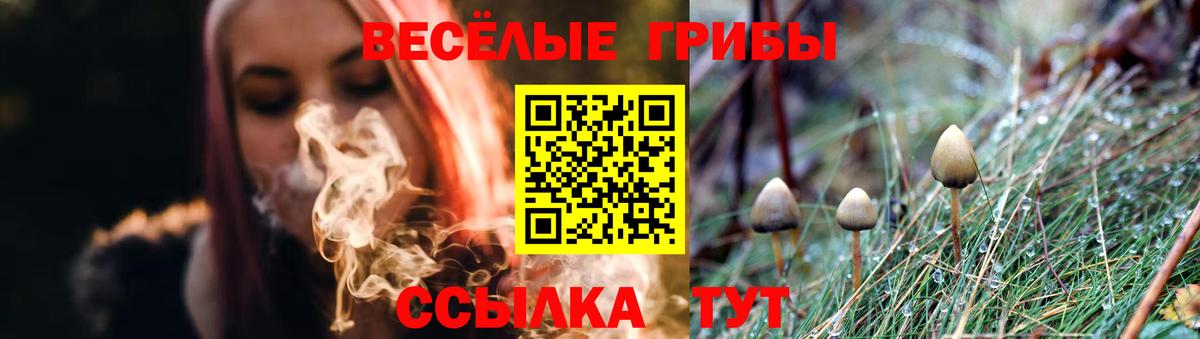 Аша  Псилоцибиновые грибы ЛСД  Вход с VPN 