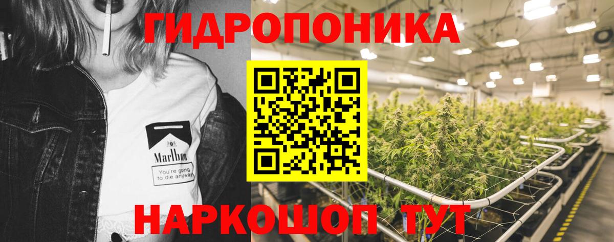 Бошки Шишки MAZAR  Каннабис индика  Вход с VPN  Аша 